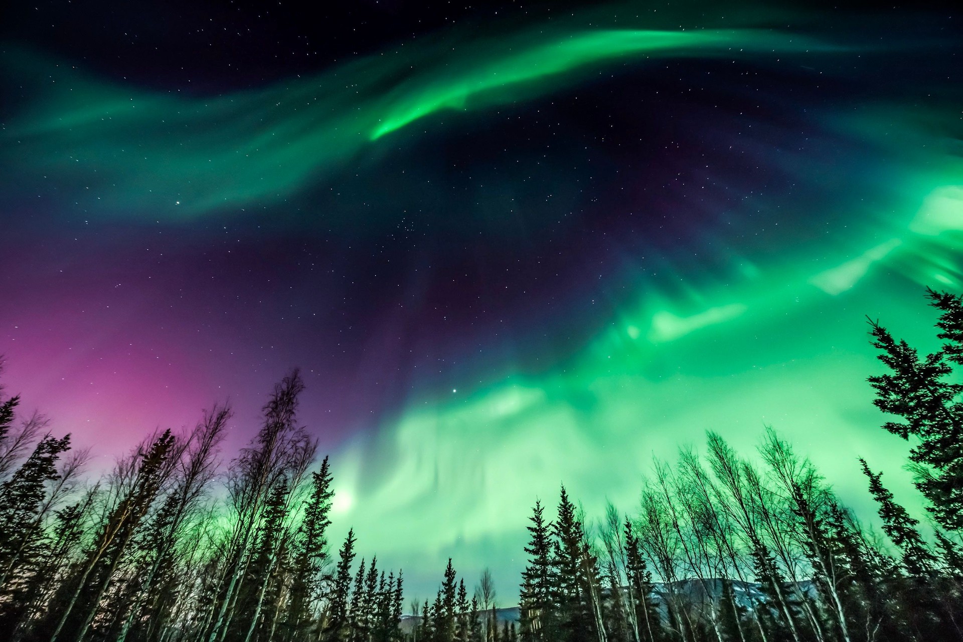 Purple and green northern Lights